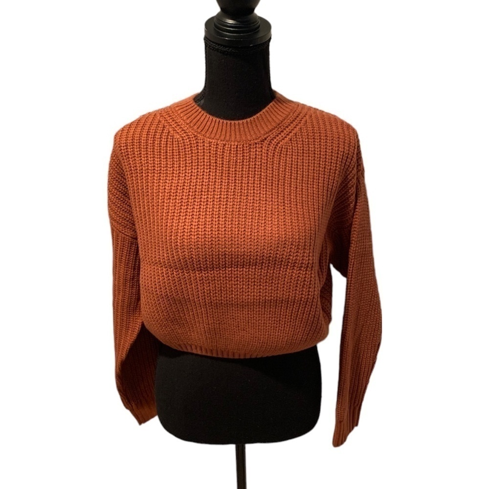 Elodie Crewneck Long Sleeve Crop Sweater in Rust NWT